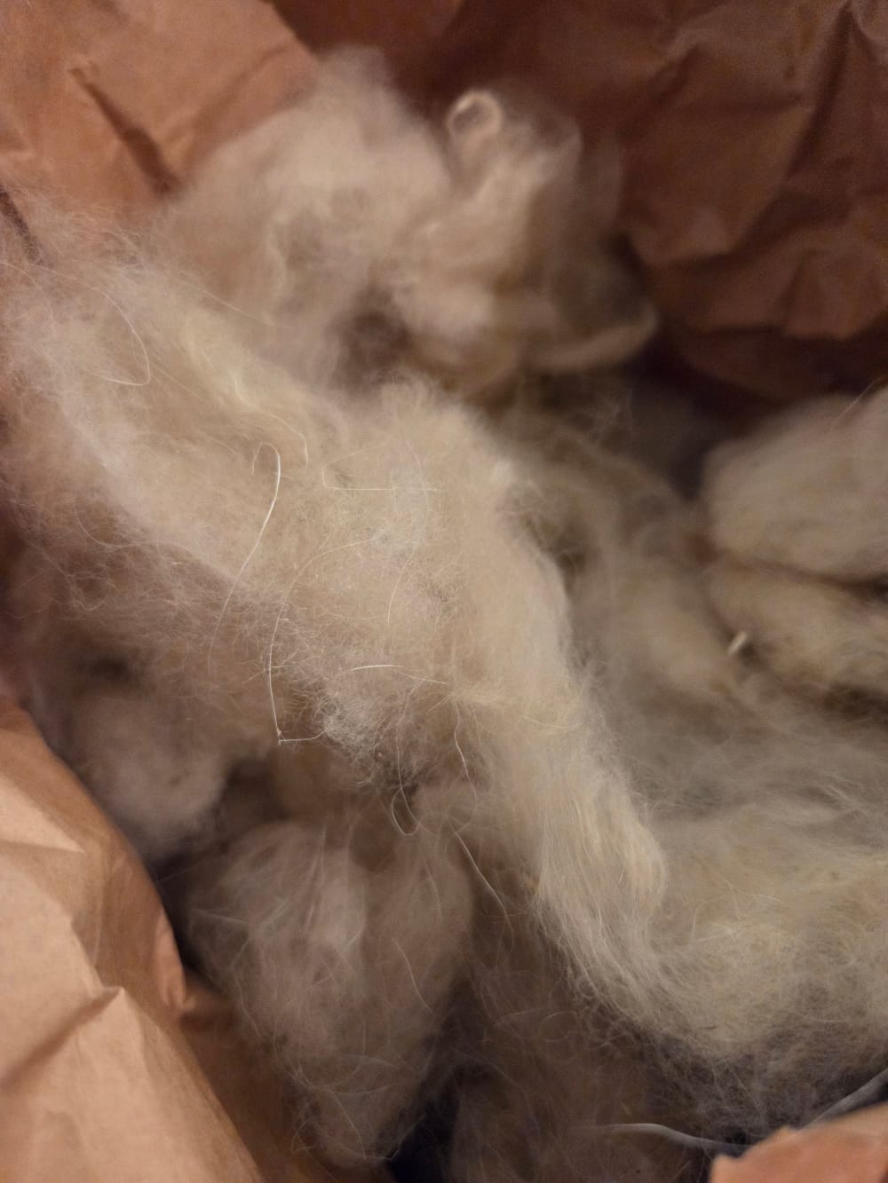 Fibres brutes de cachemire de la production cachemire de touraine